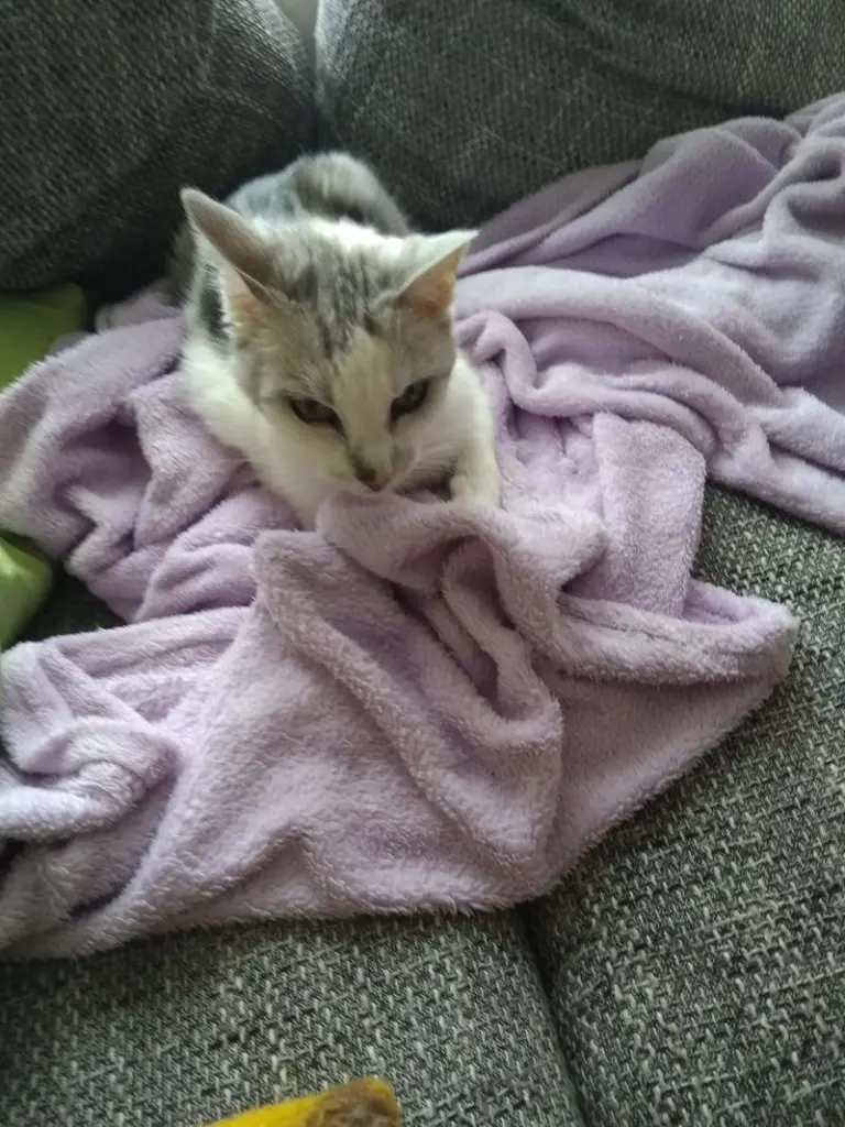 Condolence image of Sigrid