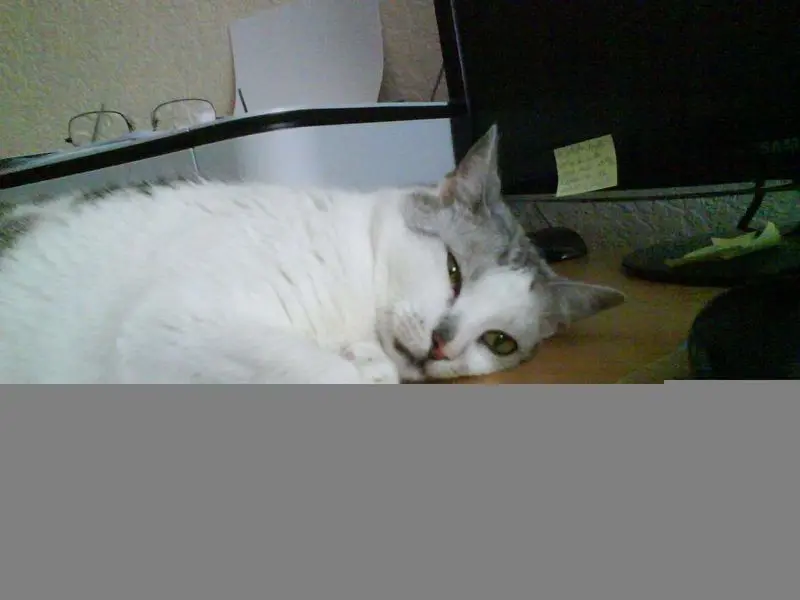 Condolence image of Sigrid