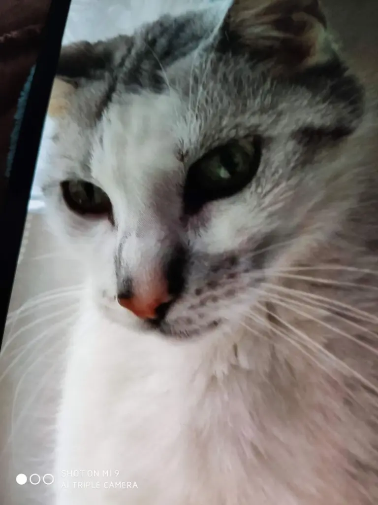 Condolence image of Sigrid