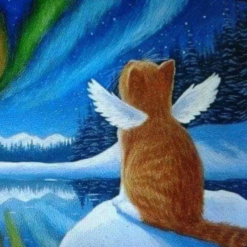 Condolence image of Sigrid