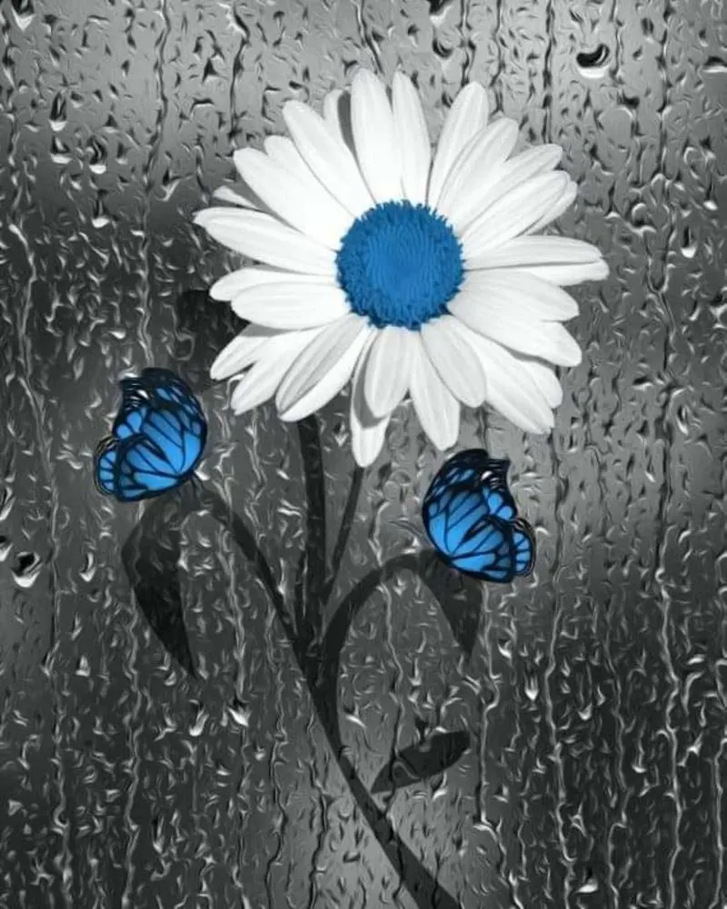 Condolence image of Sigrid