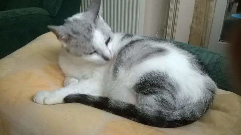 Condolence image of Sigrid