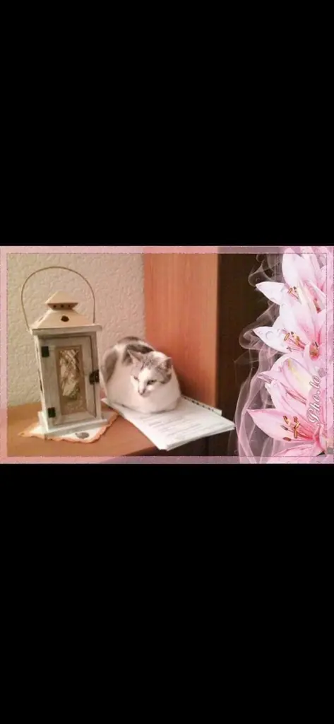 Condolence image of Sigrid