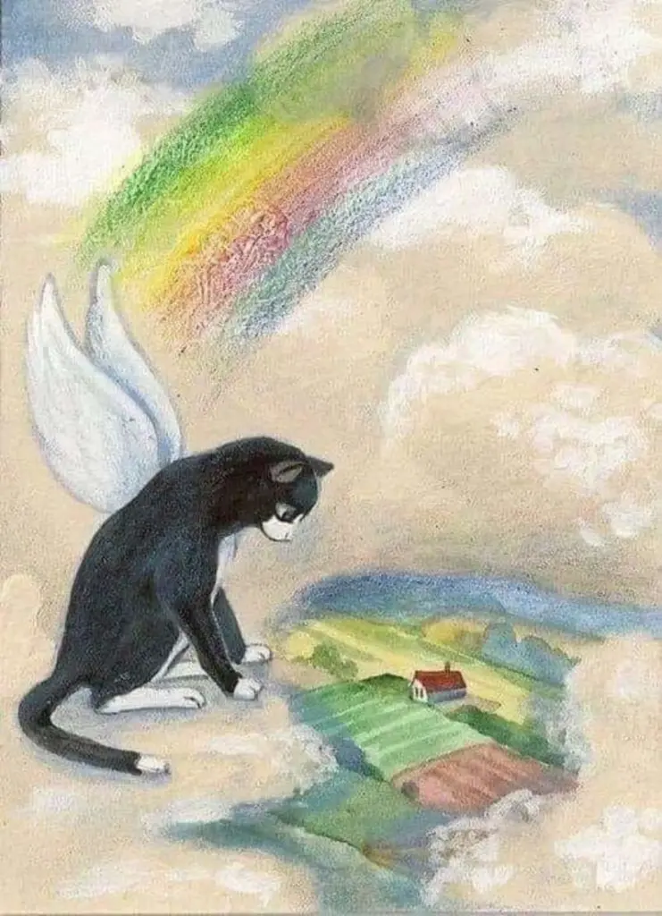 Condolence image of Sigrid