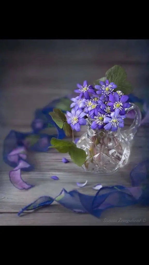 Condolence image of Sigrid