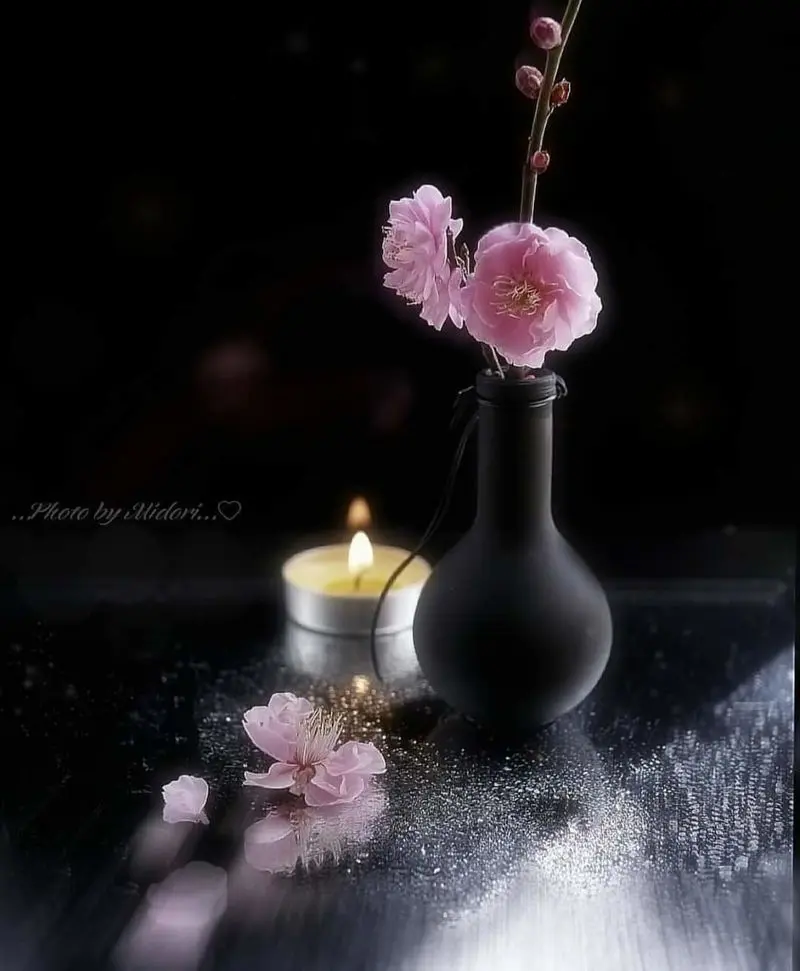 Condolence image of Sigrid