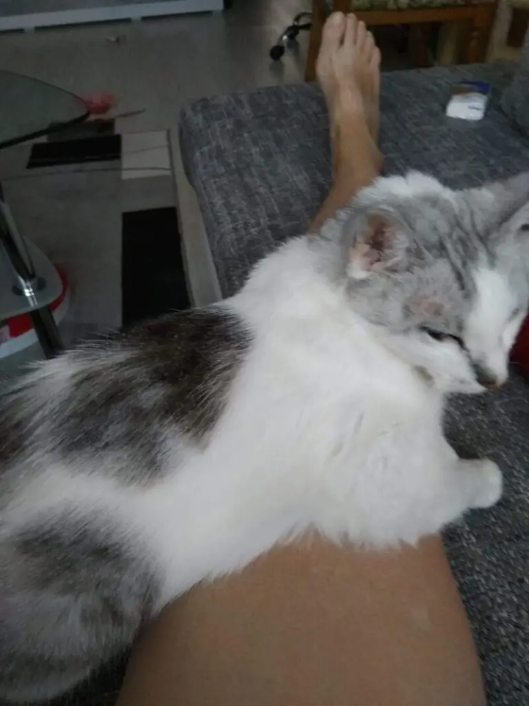 Condolence image of Sigrid