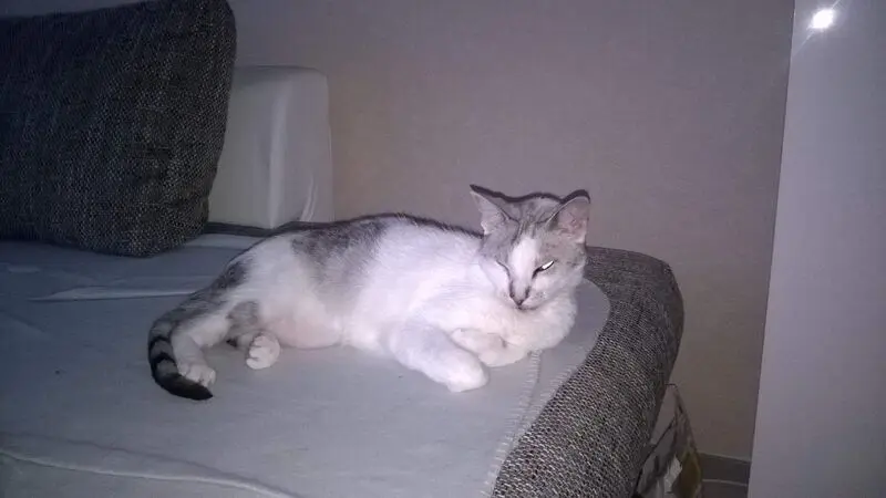 Condolence image of Sigrid