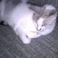 Condolence image of Sigrid