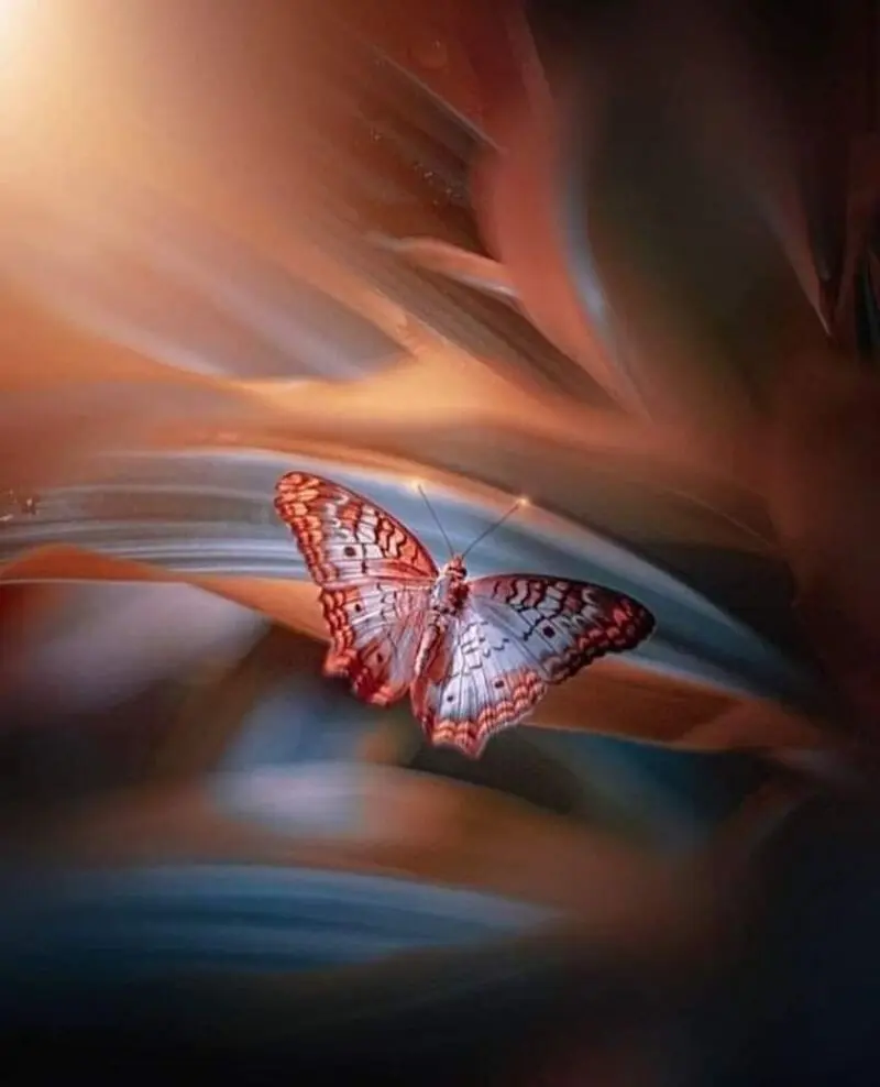 Condolence image of Sigrid