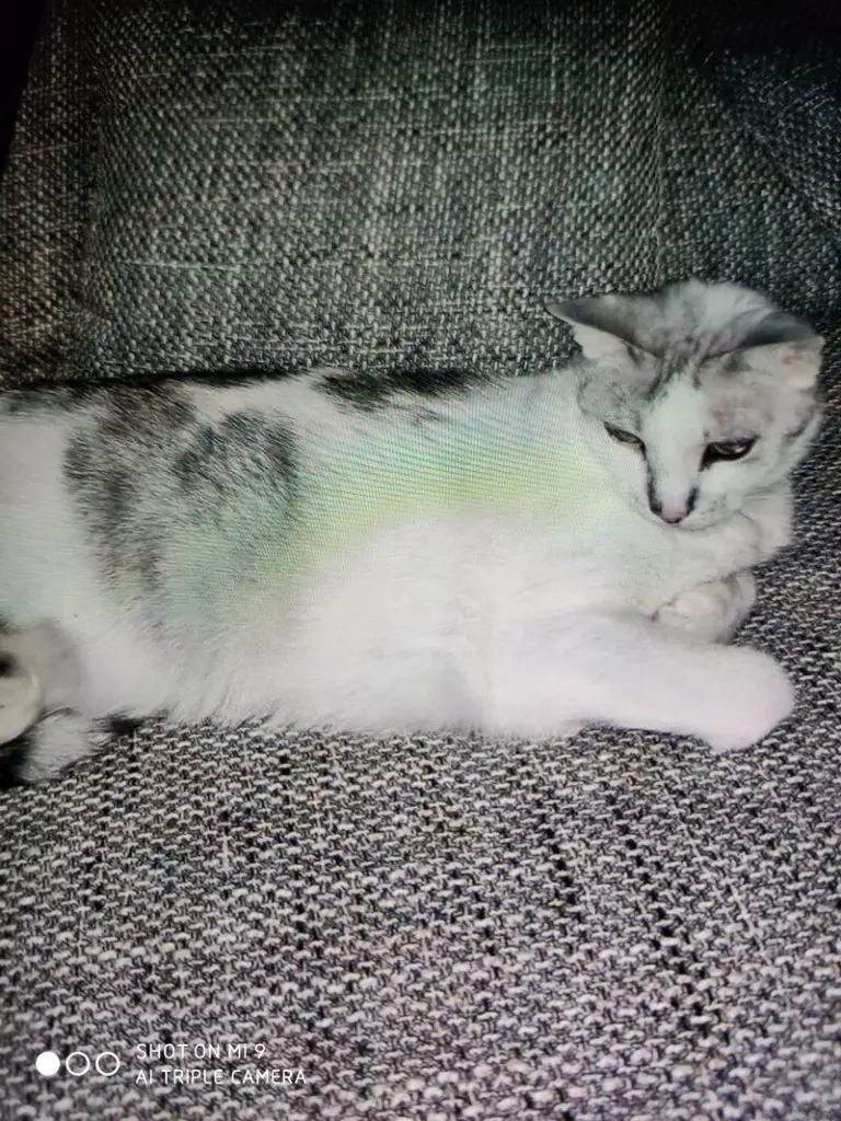 Condolence image of Sigrid