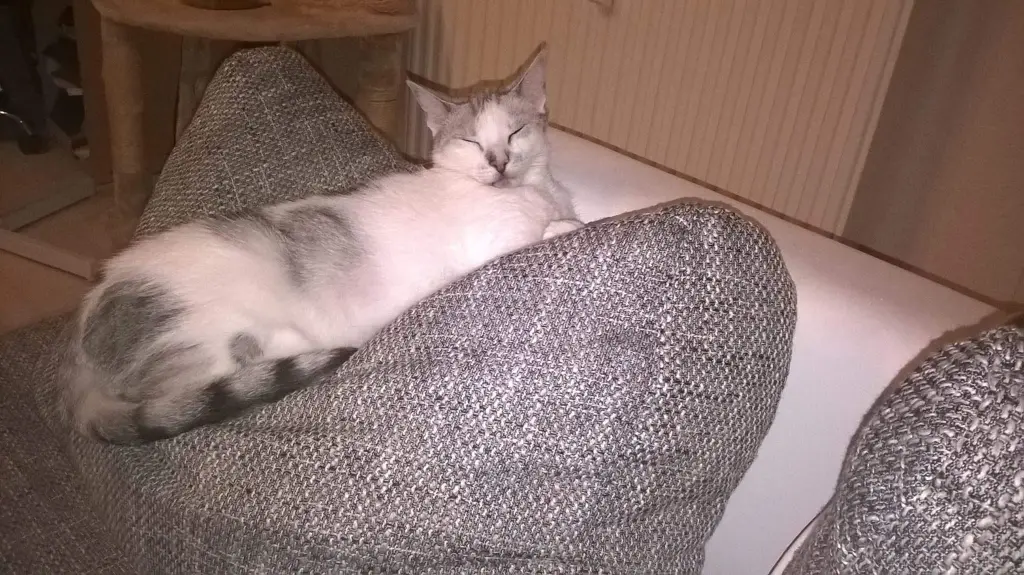 Condolence image of Sigrid