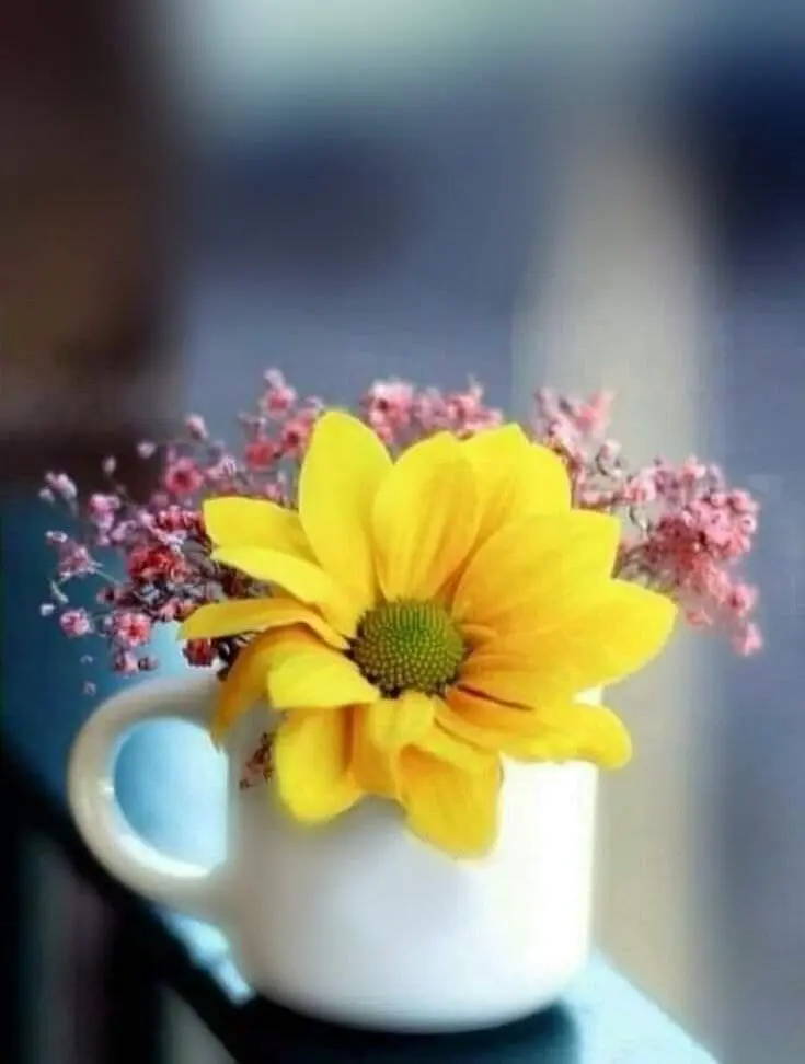 Condolence image of Sigrid