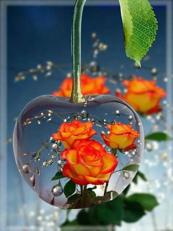 Condolence image of Sigrid
