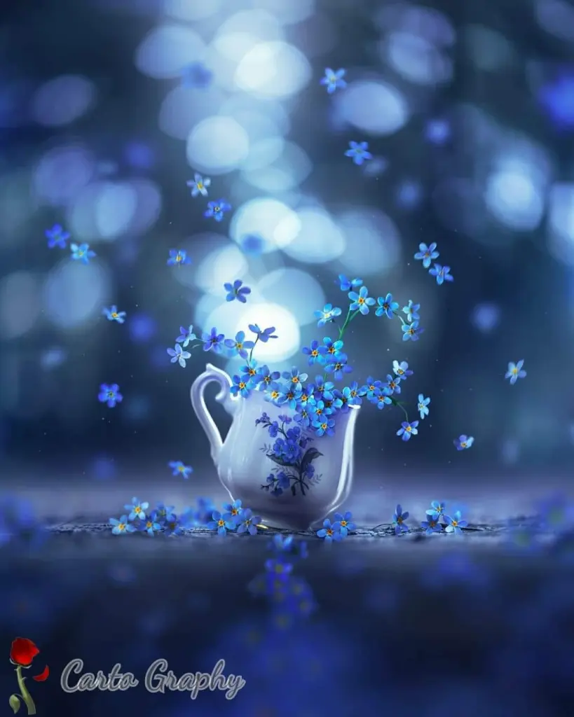 Condolence image of Sigrid