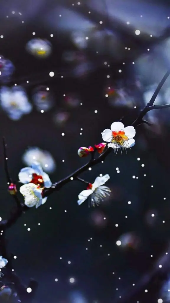 Condolence image of Sigrid
