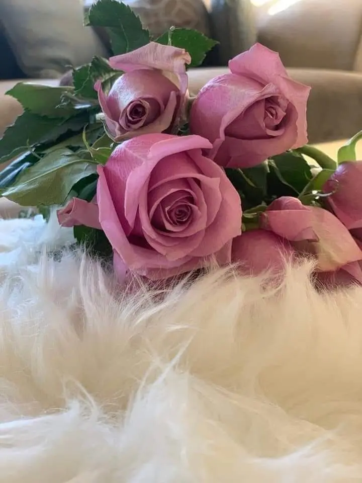 Condolence image of Sigrid