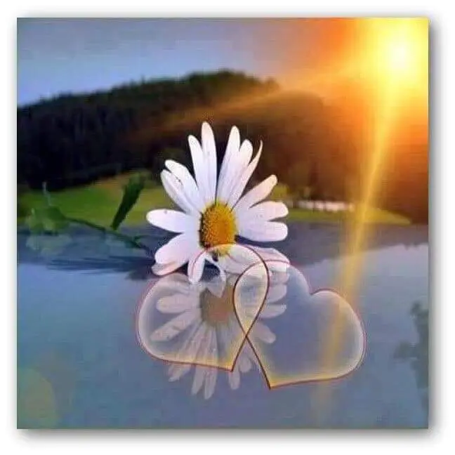 Condolence image of Sigrid