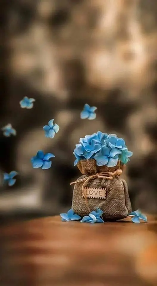Condolence image of Sigrid