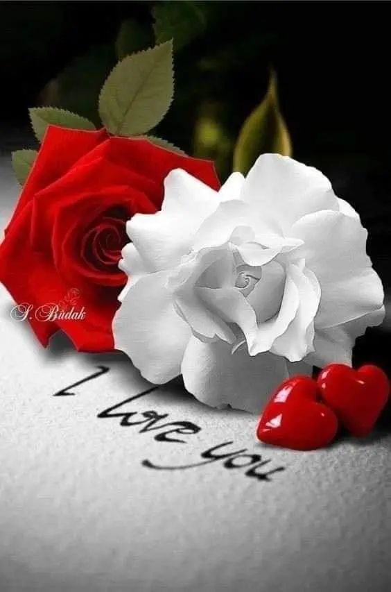Condolence image of Sigrid