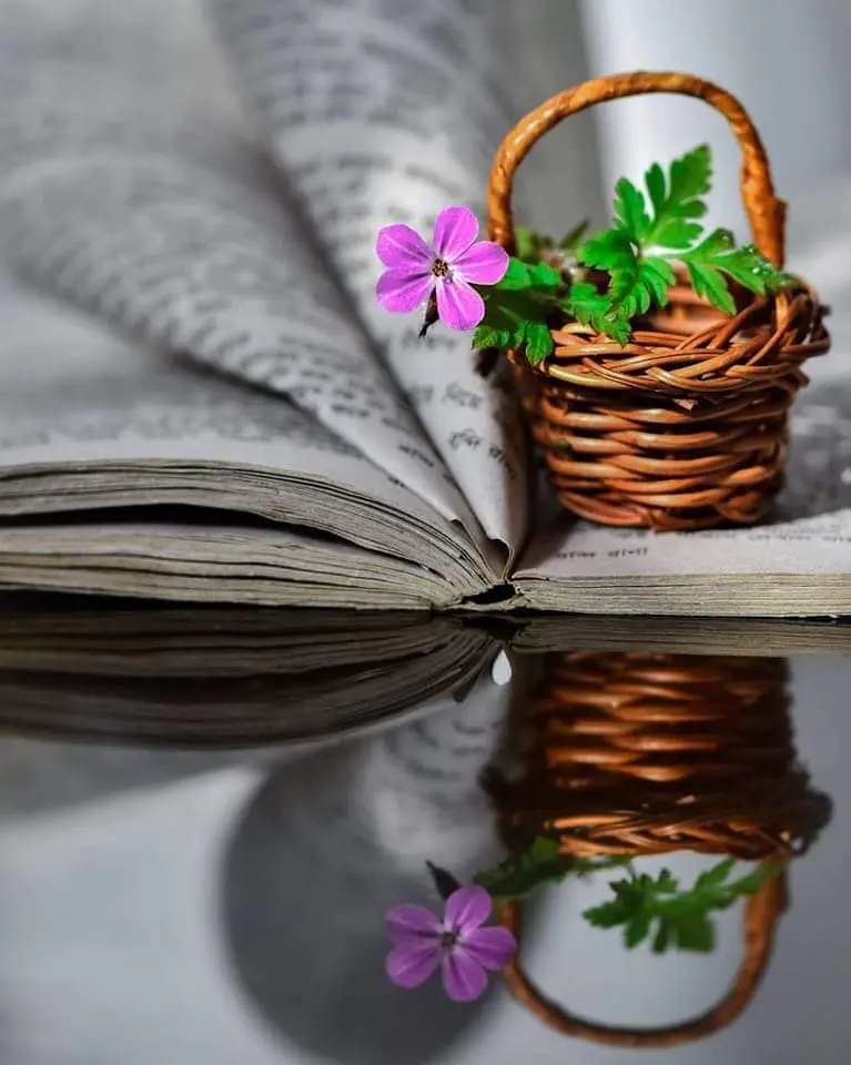 Condolence image of Sigrid