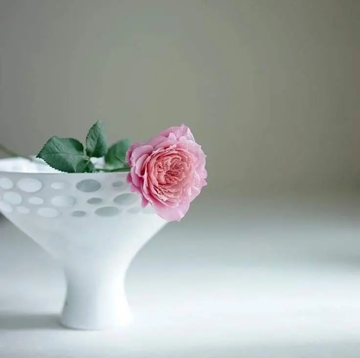 Condolence image of Sigrid