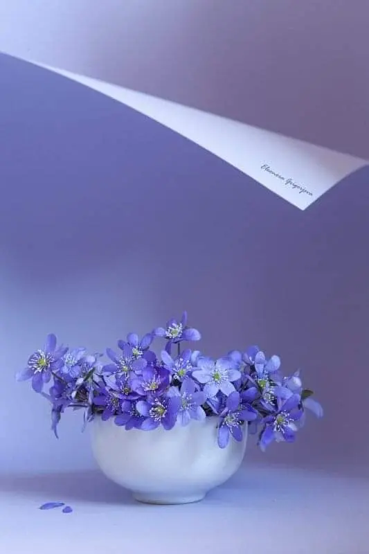 Condolence image of Sigrid