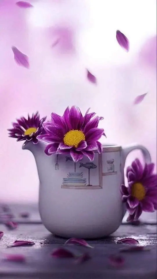 Condolence image of Sigrid
