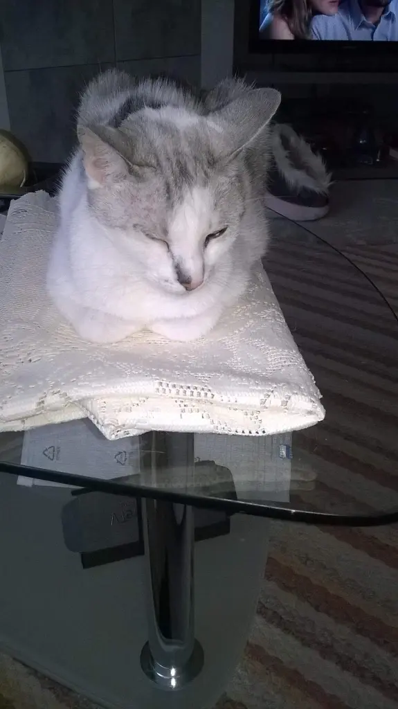 Condolence image of Sigrid
