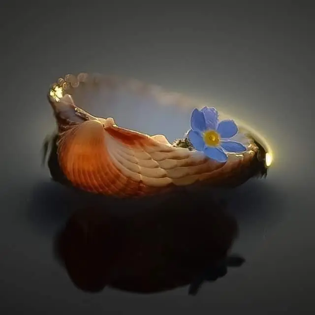 Condolence image of Sigrid