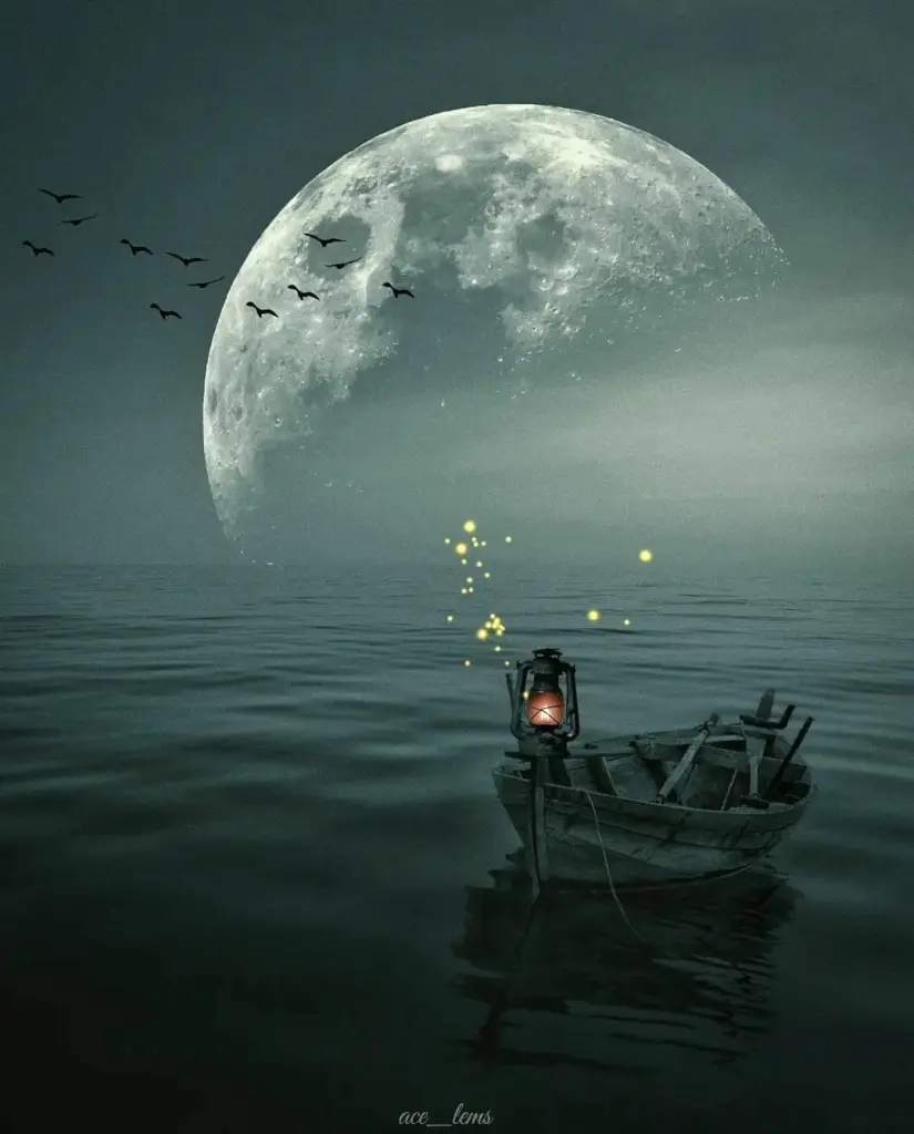 Condolence image of Sigrid