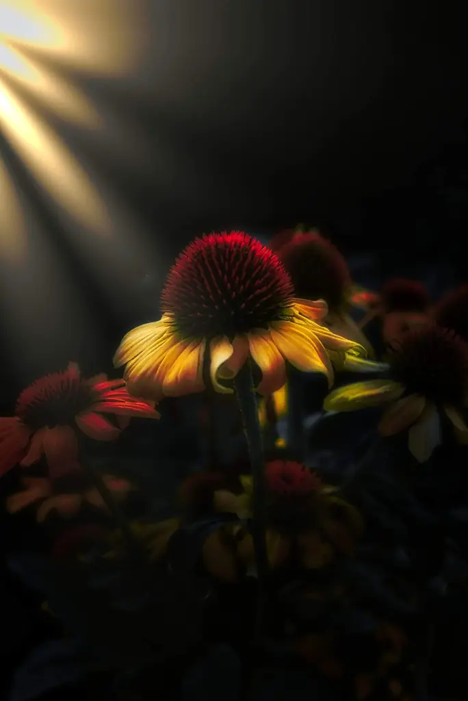 Condolence image of Sigrid