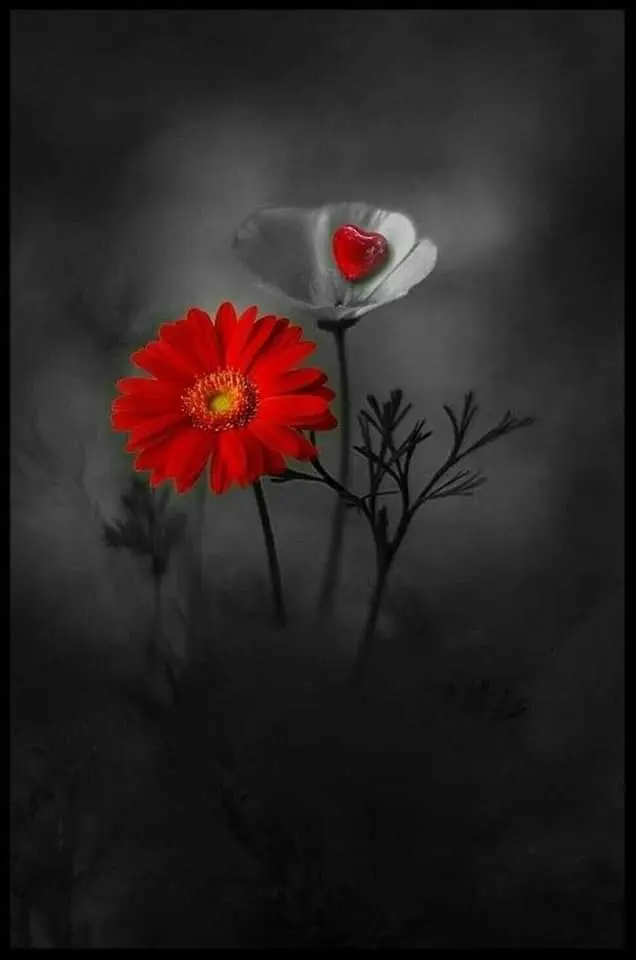 Condolence image of Sigrid