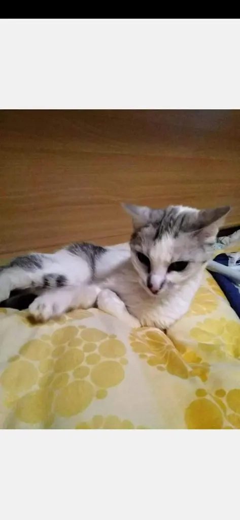 Condolence image of Sigrid