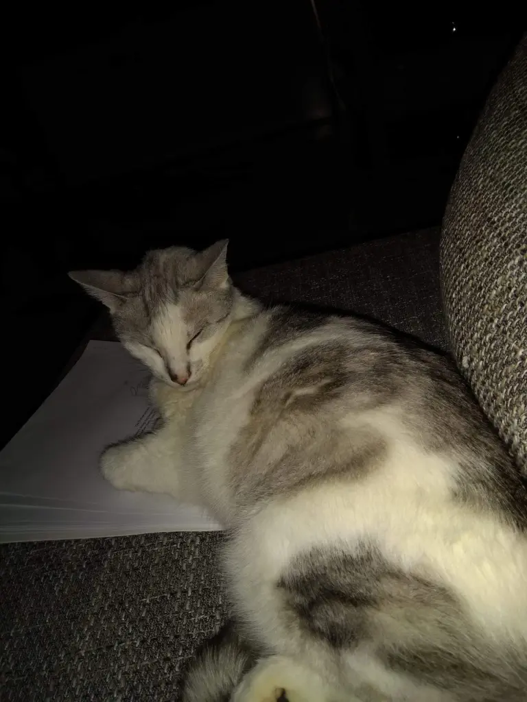 Condolence image of Sigrid