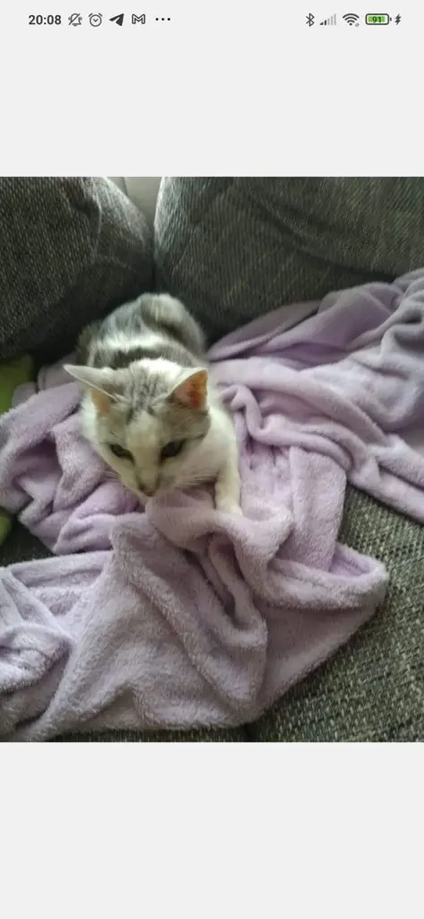 Condolence image of Sigrid