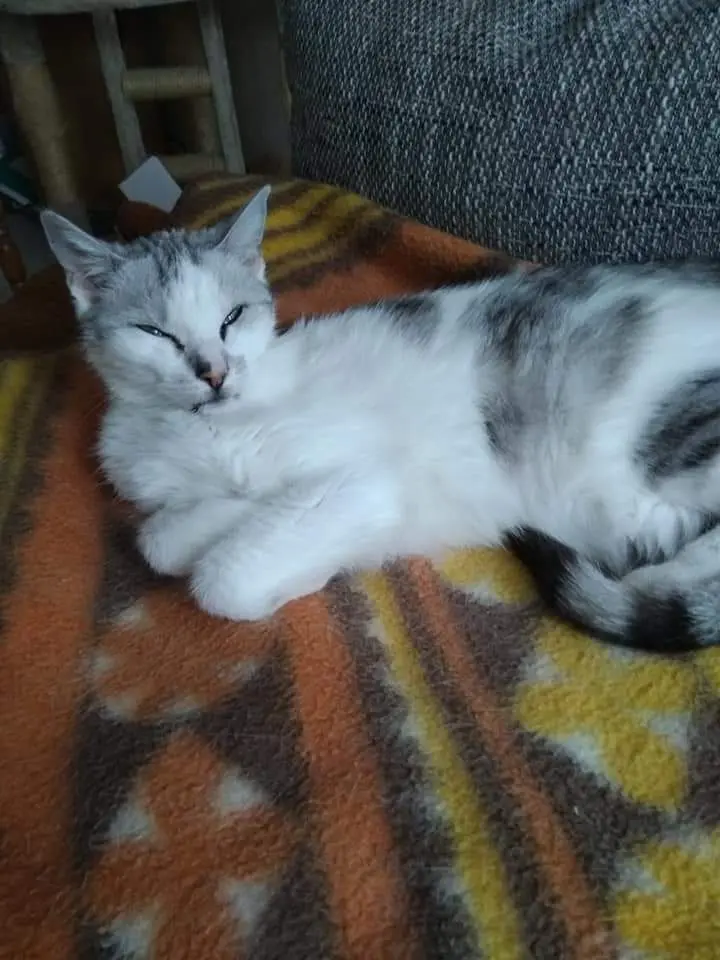 Condolence image of Sigrid