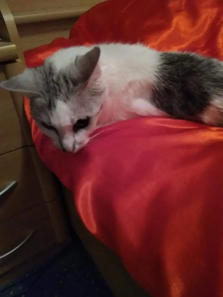 Condolence image of Sigrid