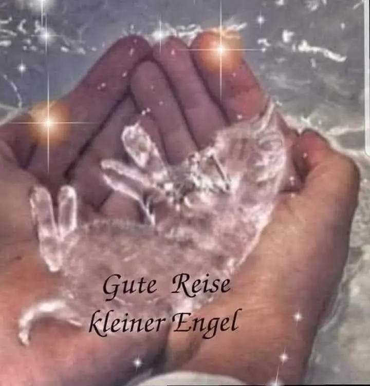 Condolence image of Sigrid