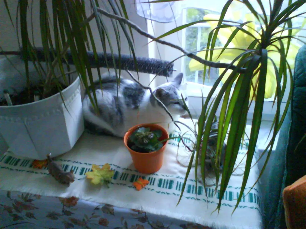 Condolence image of Sigrid