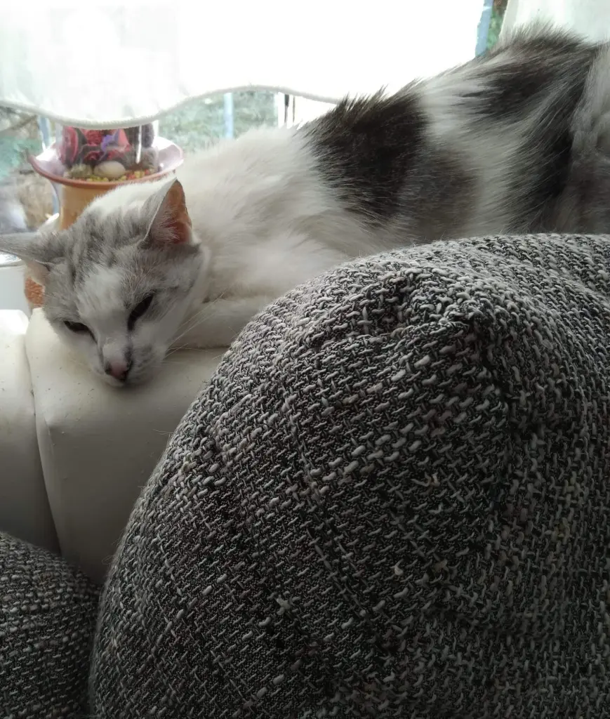 Condolence image of Sigrid