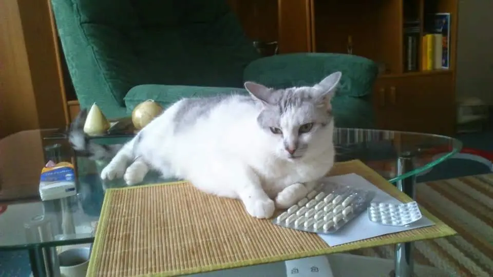 Condolence image of Sigrid