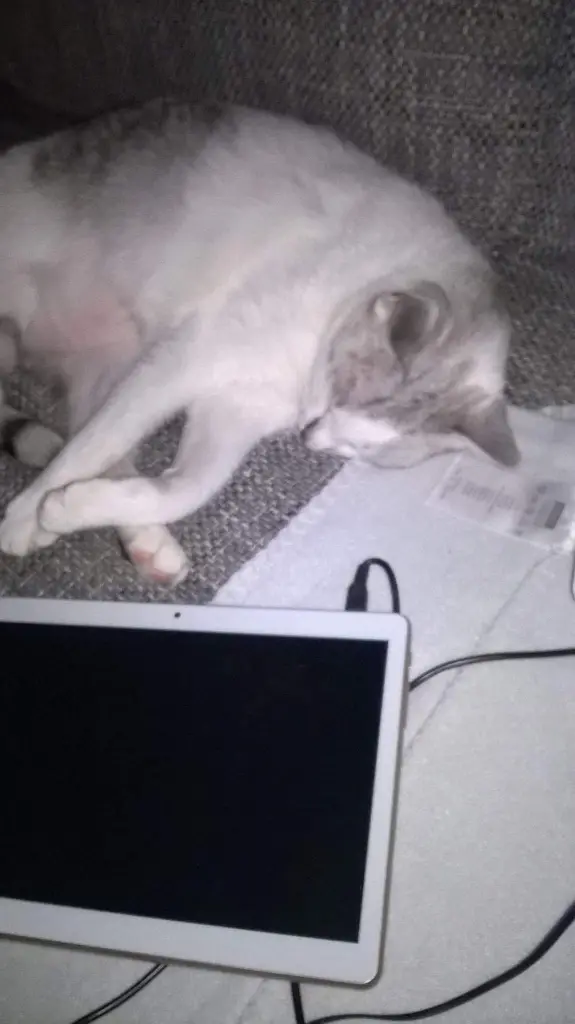 Condolence image of Sigrid