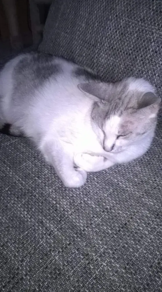 Condolence image of Sigrid