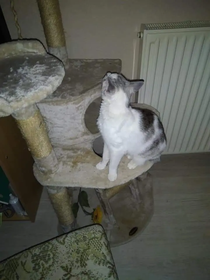 Condolence image of Sigrid