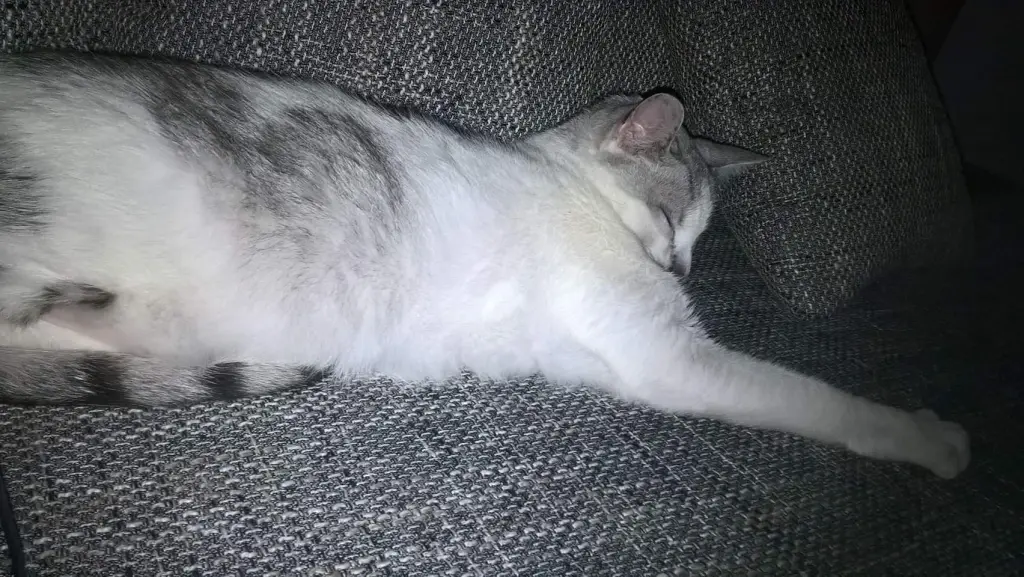 Condolence image of Sigrid