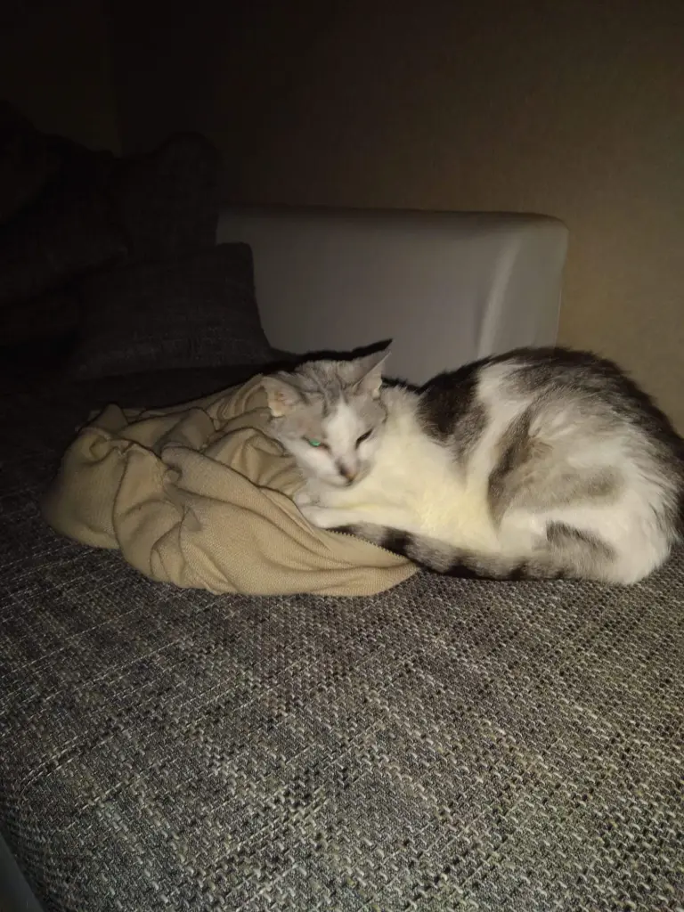 Condolence image of Sigrid