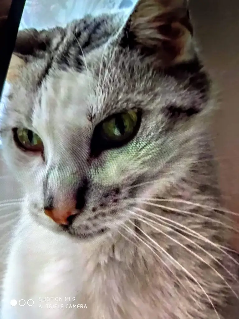 Condolence image of Sigrid