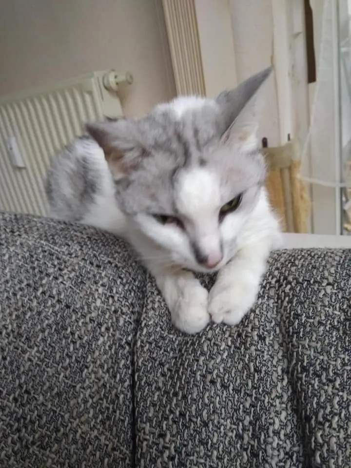 Condolence image of Sigrid