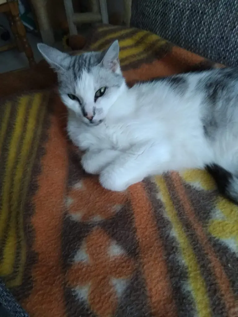 Condolence image of Sigrid